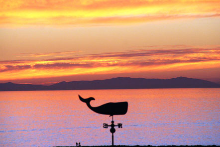 Sunset on the California coast. 